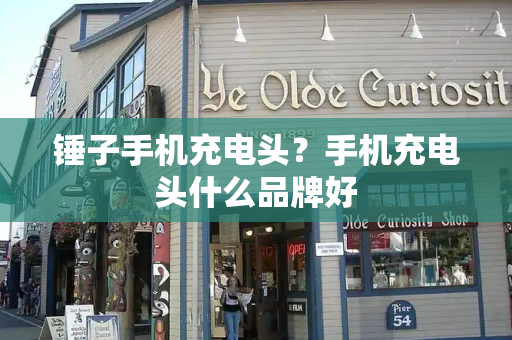 锤子手机充电头？手机充电头什么品牌好-第1张图片-星选测评