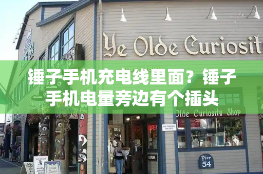 锤子手机充电线里面？锤子手机电量旁边有个插头