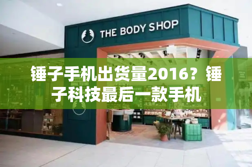 锤子手机出货量2016？锤子科技最后一款手机-第1张图片-星选测评