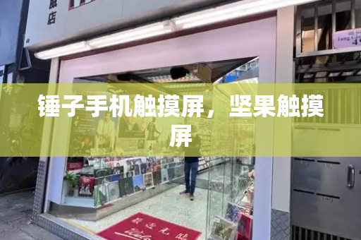 锤子手机触摸屏，坚果触摸屏-第1张图片-星选测评
