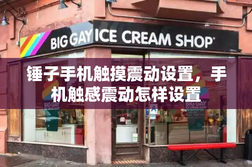 锤子手机触摸震动设置，手机触感震动怎样设置