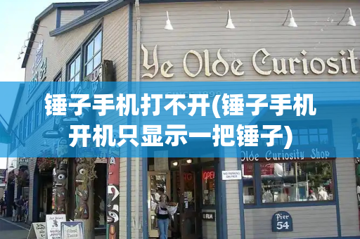 锤子手机打不开(锤子手机开机只显示一把锤子)-第1张图片-星选测评