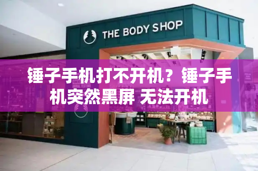锤子手机打不开机？锤子手机突然黑屏 无法开机-第1张图片-星选测评