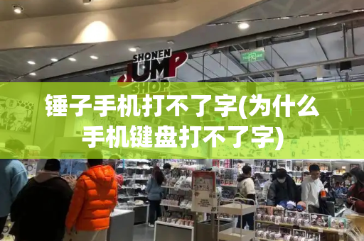 锤子手机打不了字(为什么手机键盘打不了字)-第1张图片-星选测评