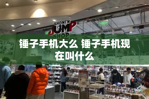 锤子手机大么 锤子手机现在叫什么