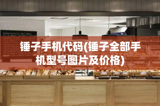 锤子手机代码(锤子全部手机型号图片及价格)-第1张图片-星选测评