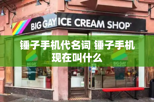 锤子手机代名词 锤子手机现在叫什么-第1张图片-星选测评
