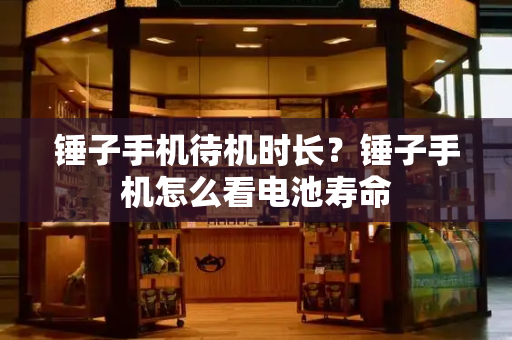 锤子手机待机时长？锤子手机怎么看电池寿命