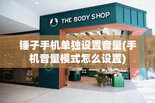 锤子手机单独设置音量(手机音量模式怎么设置)