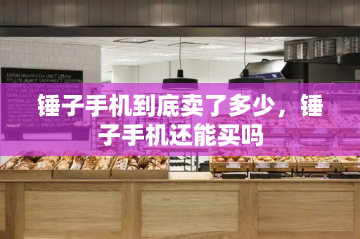 锤子手机到底卖了多少，锤子手机还能买吗