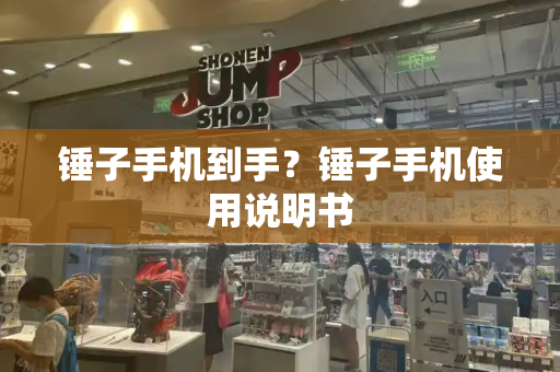 锤子手机到手？锤子手机使用说明书-第1张图片-星选测评