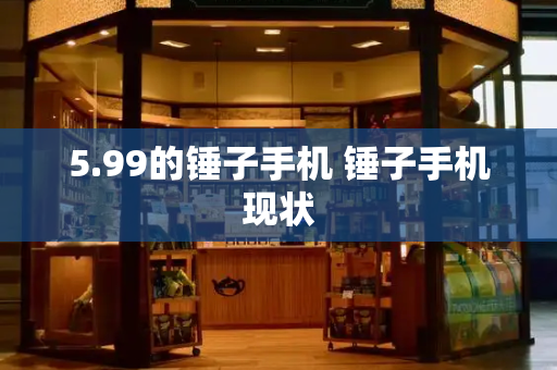 5.99的锤子手机 锤子手机现状