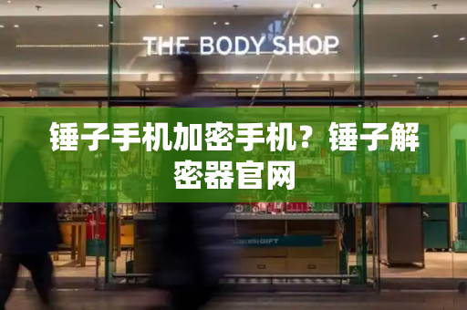 锤子手机加密手机？锤子解密器官网-第1张图片-星选测评