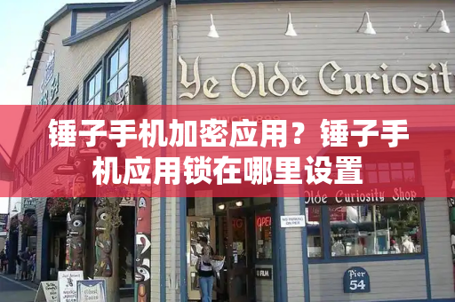 锤子手机加密应用？锤子手机应用锁在哪里设置
