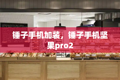 锤子手机加装，锤子手机坚果pro2