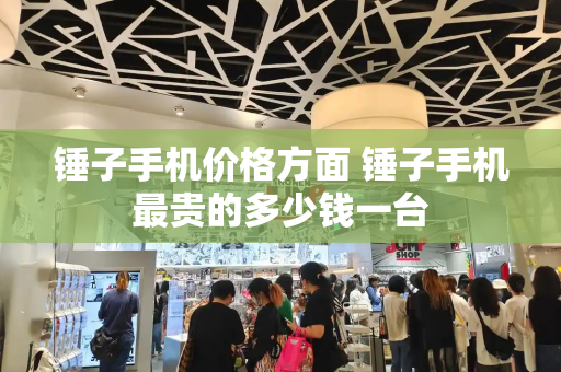 锤子手机价格方面 锤子手机最贵的多少钱一台-第1张图片-星选测评