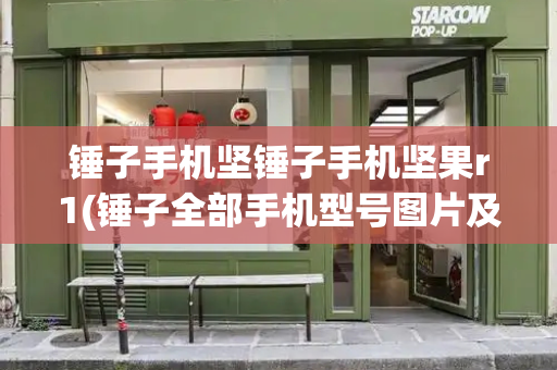 锤子手机坚锤子手机坚果r1(锤子全部手机型号图片及价格)-第1张图片-星选测评