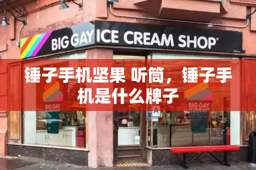 锤子手机坚果 听筒，锤子手机是什么牌子