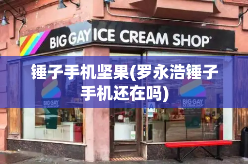 锤子手机坚果(罗永浩锤子手机还在吗)