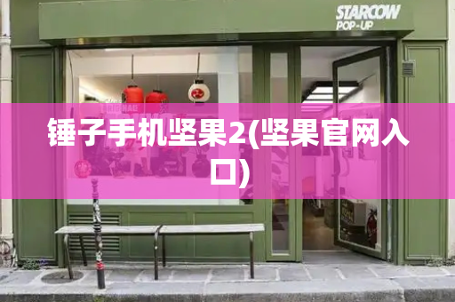 锤子手机坚果2(坚果官网入口)