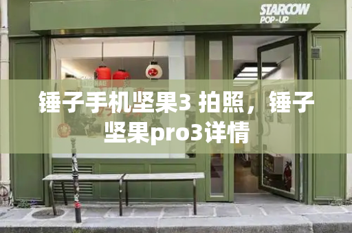锤子手机坚果3 拍照，锤子坚果pro3详情