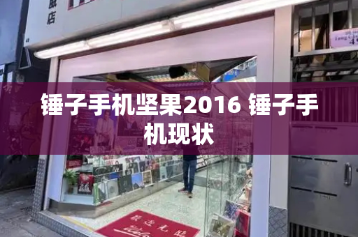 锤子手机坚果2016 锤子手机现状-第1张图片-星选测评