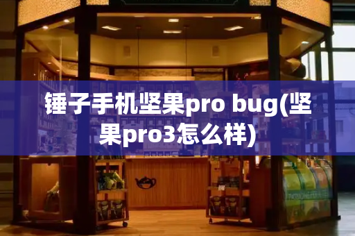 锤子手机坚果pro bug(坚果pro3怎么样)