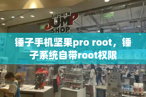 锤子手机坚果pro root，锤子系统自带root权限