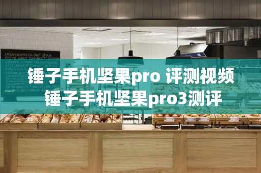 锤子手机坚果pro 评测视频 锤子手机坚果pro3测评