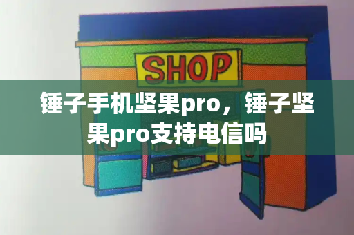 锤子手机坚果pro，锤子坚果pro支持电信吗