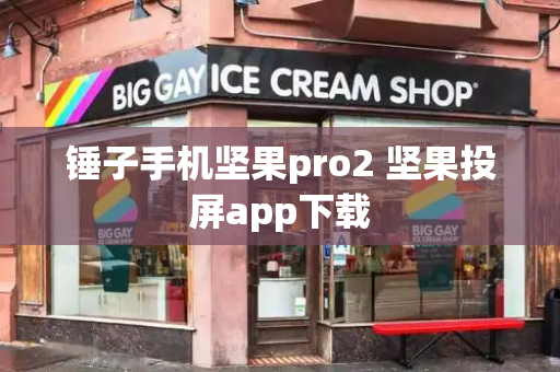 锤子手机坚果pro2 坚果投屏app下载-第1张图片-星选测评