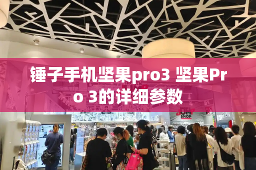 锤子手机坚果pro3 坚果Pro 3的详细参数-第1张图片-星选测评