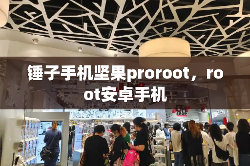 锤子手机坚果proroot，root安卓手机