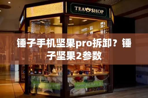 锤子手机坚果pro拆卸？锤子坚果2参数-第1张图片-星选测评