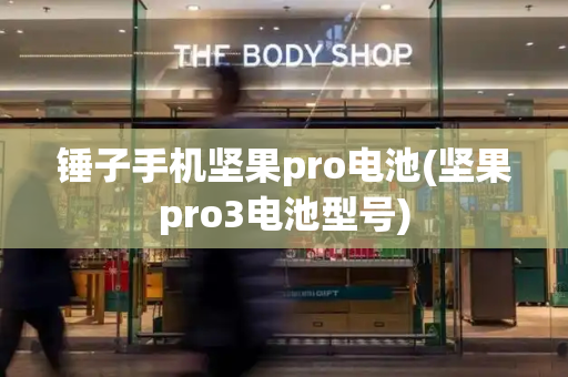 锤子手机坚果pro电池(坚果pro3电池型号)