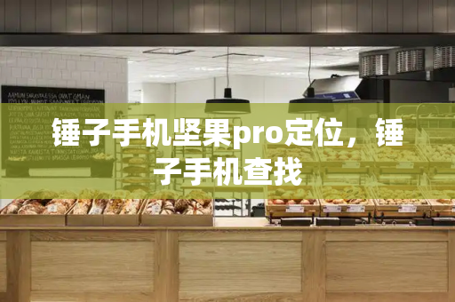 锤子手机坚果pro定位，锤子手机查找