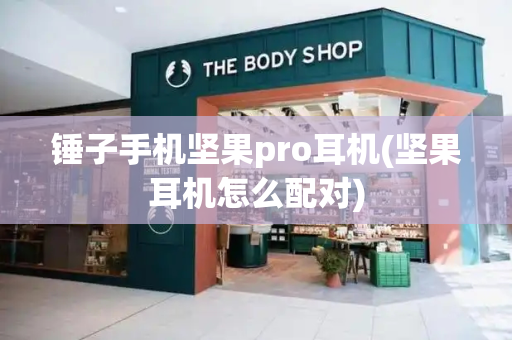 锤子手机坚果pro耳机(坚果耳机怎么配对)-第1张图片-星选测评