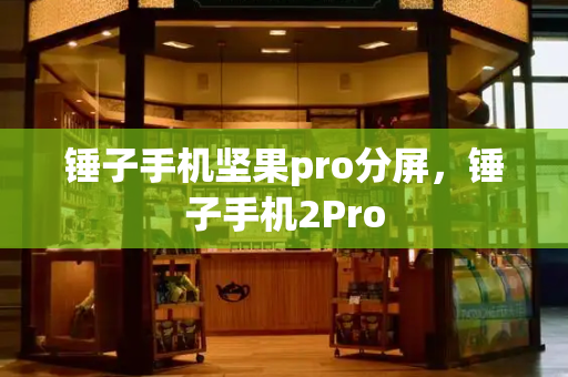 锤子手机坚果pro分屏，锤子手机2Pro-第1张图片-星选测评