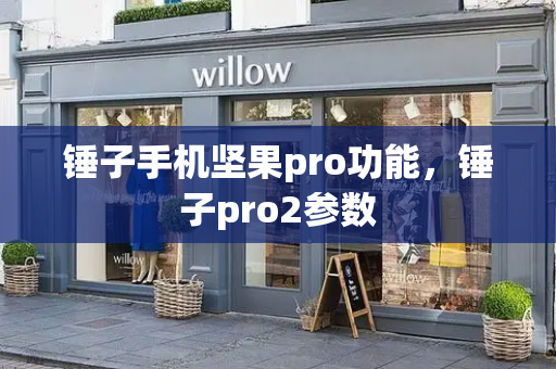 锤子手机坚果pro功能，锤子pro2参数