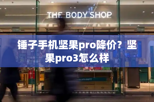 锤子手机坚果pro降价？坚果pro3怎么样