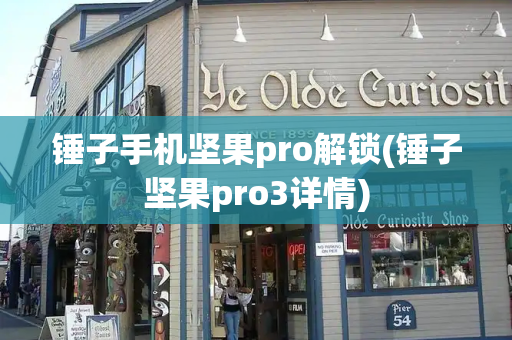 锤子手机坚果pro解锁(锤子坚果pro3详情)