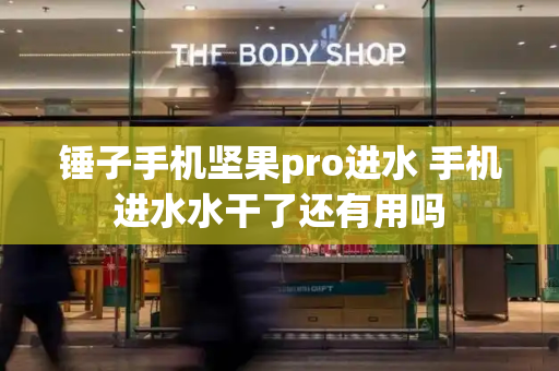 锤子手机坚果pro进水 手机进水水干了还有用吗