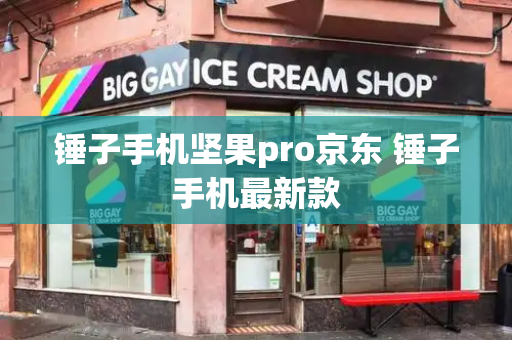 锤子手机坚果pro京东 锤子手机最新款-第1张图片-星选测评
