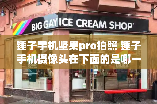 锤子手机坚果pro拍照 锤子手机摄像头在下面的是哪一款-第1张图片-星选测评