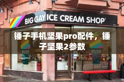 锤子手机坚果pro配件，锤子坚果2参数
