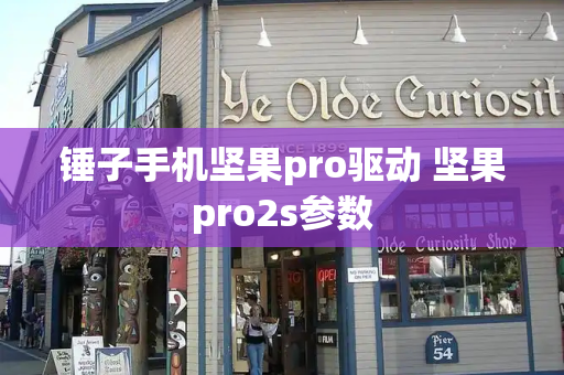 锤子手机坚果pro驱动 坚果pro2s参数-第1张图片-星选测评