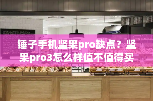 锤子手机坚果pro缺点？坚果pro3怎么样值不值得买
