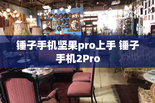 锤子手机坚果pro上手 锤子手机2Pro