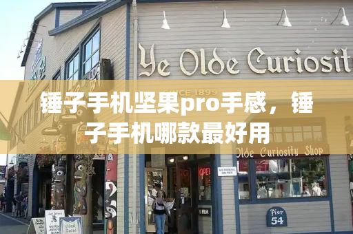 锤子手机坚果pro手感，锤子手机哪款最好用-第1张图片-星选测评
