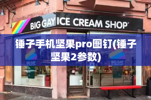 锤子手机坚果pro图钉(锤子坚果2参数)